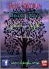 <h1><span class="notranslate">Guitar Light</span> – spartito del brano di Salus Sonorum</h1>  🎼 Healing and relaxing music score